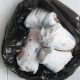Cara Pengelolaan Sampah Diapers agar Tidak Mencemari Lingkungan