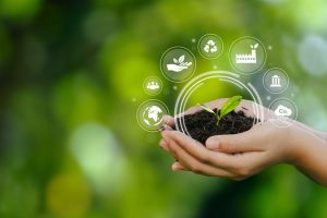 Green Innovation: Peran Start-up dalam Pengelolaan Limbah