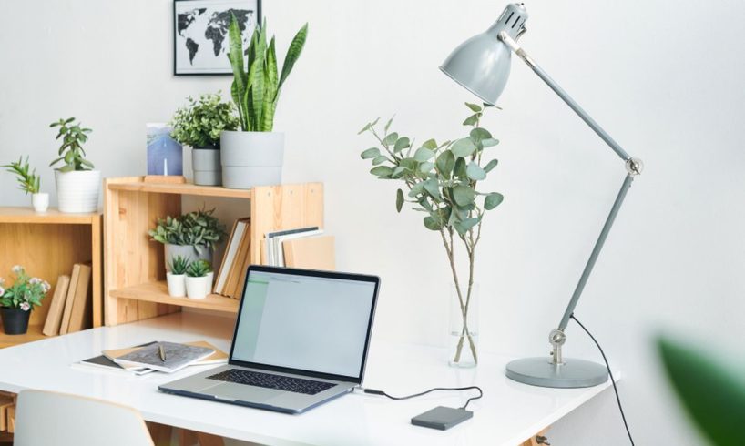 Tanaman yang Cocok Diletakkan di Meja Kerja Anda untuk Suasana Lebih Nyaman dan Produktif